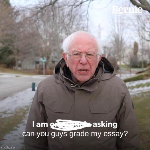 its in comments | can you guys grade my essay? | image tagged in memes,bernie i am once again asking for your support | made w/ Imgflip meme maker