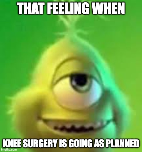 grinch wazowski | THAT FEELING WHEN; KNEE SURGERY IS GOING AS PLANNED | image tagged in grinch wazowski,memes,funny,blue grinch,knee surgery | made w/ Imgflip meme maker