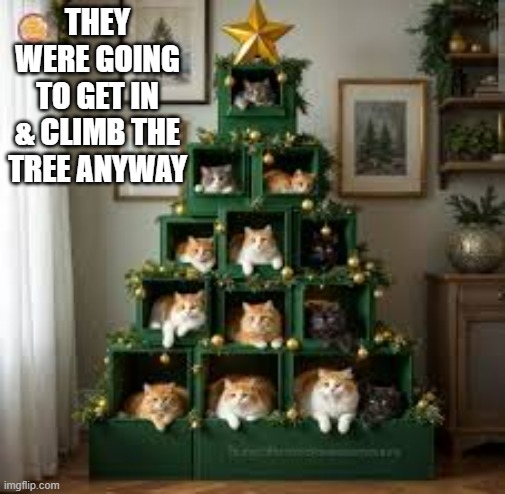 memes by Brad - Cats were going to climb up the Christmas tree anyway | THEY WERE GOING TO GET IN & CLIMB THE TREE ANYWAY | image tagged in cats,kittens,christmas tree,christmas,humor,funny | made w/ Imgflip meme maker