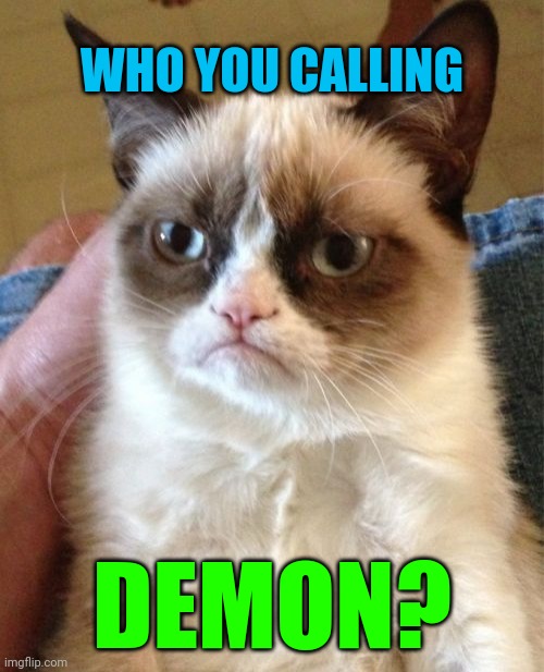 Grumpy Cat Meme | DEMON? WHO YOU CALLING | image tagged in memes,grumpy cat | made w/ Imgflip meme maker