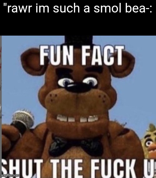 fun fact shut the fuck up | "rawr im such a smol bea-: | image tagged in fun fact shut the fuck up | made w/ Imgflip meme maker