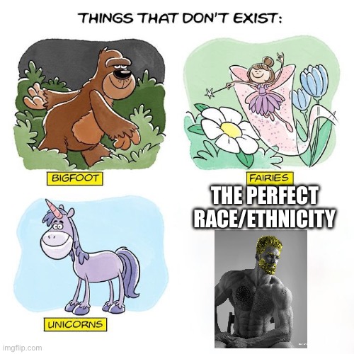 Racism is bad. There is no such thing as a superior race | THE PERFECT RACE/ETHNICITY | image tagged in things that don't exist | made w/ Imgflip meme maker