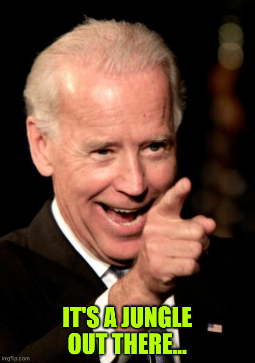 Smilin Biden Meme | IT'S A JUNGLE OUT THERE... | image tagged in memes,smilin biden | made w/ Imgflip meme maker