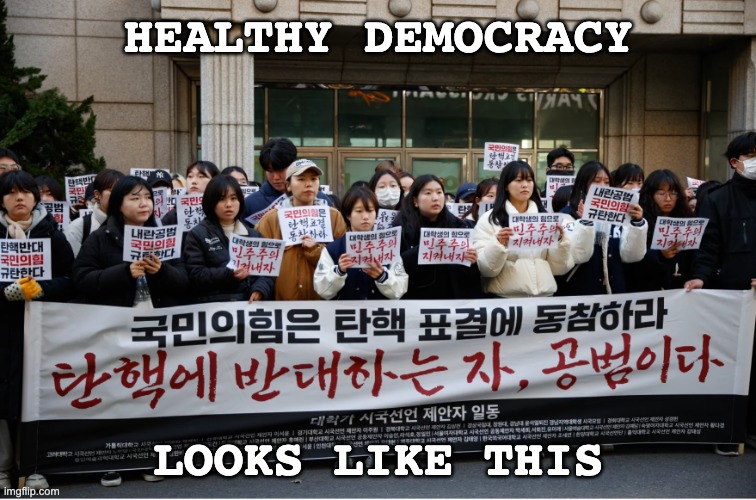 Congratulations to the Republic of Korea on its democratic process | HEALTHY DEMOCRACY; LOOKS LIKE THIS | image tagged in korean democracy in action,democracy,protest,parliament | made w/ Imgflip meme maker