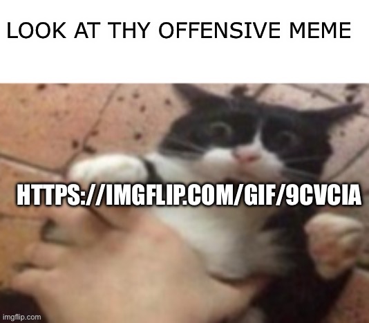 Cat caught in 4 k | LOOK AT THY OFFENSIVE MEME; HTTPS://IMGFLIP.COM/GIF/9CVCIA | image tagged in cat caught in 4 k | made w/ Imgflip meme maker