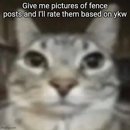 car | Give me pictures of fence posts and I'll rate them based on ykw | image tagged in car | made w/ Imgflip meme maker