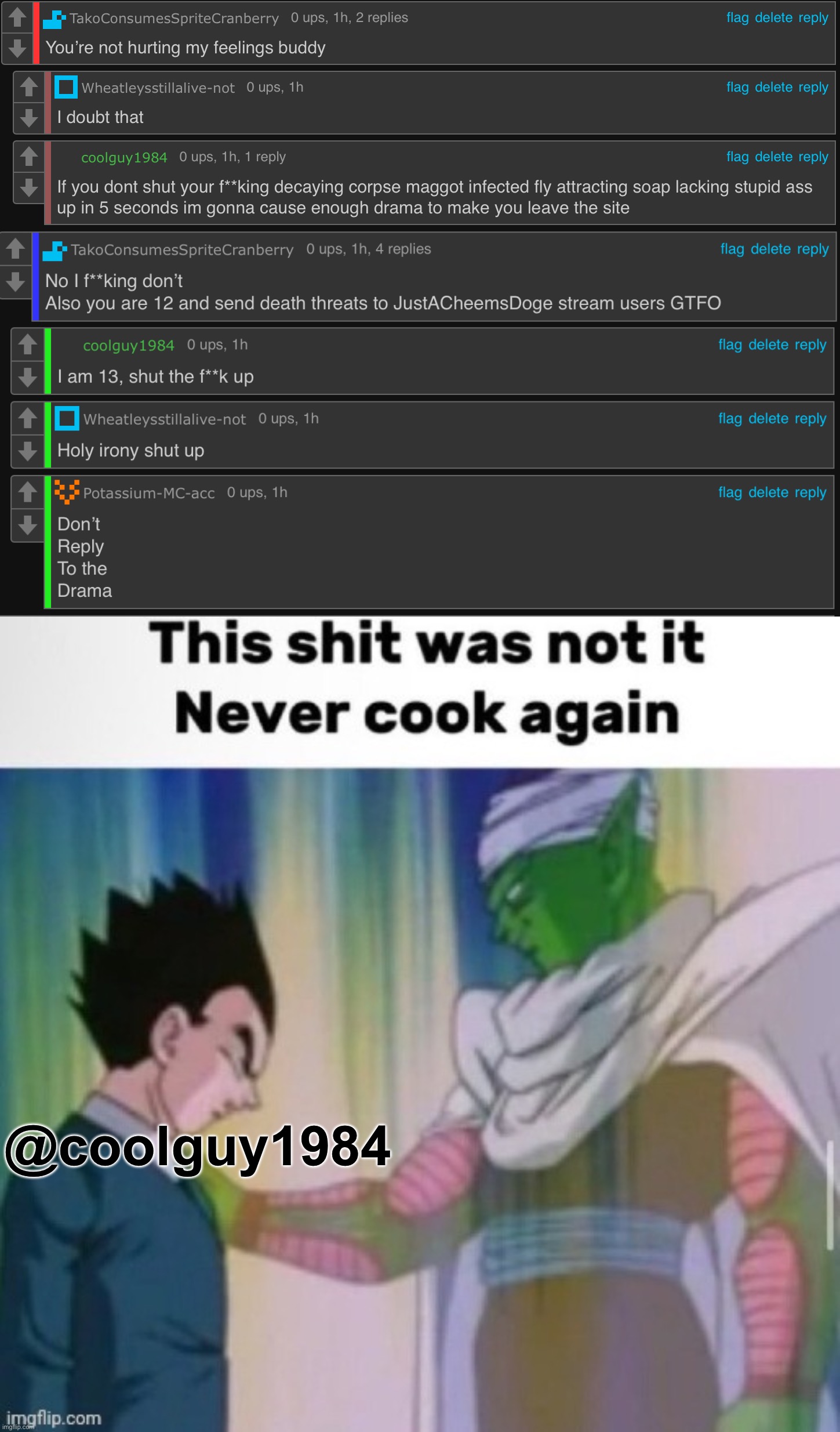 Went to the comment flags and saw this, what are they even yapping about ☠️ | @coolguy1984 | image tagged in this shit was not it never cook again | made w/ Imgflip meme maker