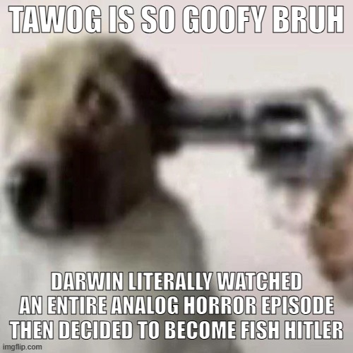 dog gunpoint | TAWOG IS SO GOOFY BRUH; DARWIN LITERALLY WATCHED AN ENTIRE ANALOG HORROR EPISODE THEN DECIDED TO BECOME FISH HITLER | image tagged in dog gunpoint | made w/ Imgflip meme maker