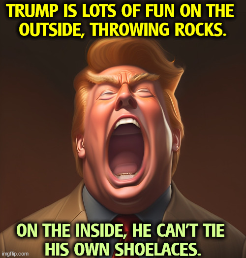 The alibis start January 20th. | TRUMP IS LOTS OF FUN ON THE 
OUTSIDE, THROWING ROCKS. ON THE INSIDE, HE CAN'T TIE 
HIS OWN SHOELACES. | image tagged in trump,noise,throw,rocks,shoes,incompetence | made w/ Imgflip meme maker