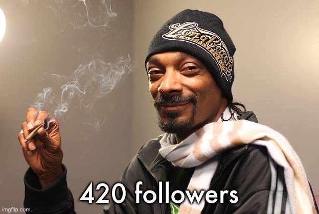 Snoop Dogg | 420 followers | image tagged in snoop dogg | made w/ Imgflip meme maker