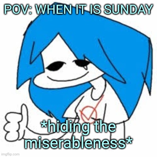 sunday | POV: WHEN IT IS SUNDAY; *hiding the miserableness* | image tagged in nusky | made w/ Imgflip meme maker