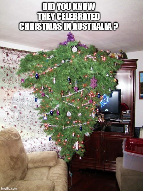 memes by Brad - Christmas in Australia is different than it is here. | DID YOU KNOW THEY CELEBRATED CHRISTMAS IN AUSTRALIA ? | image tagged in funny,fun,australia,christmas tree,merry christmas,humor | made w/ Imgflip meme maker