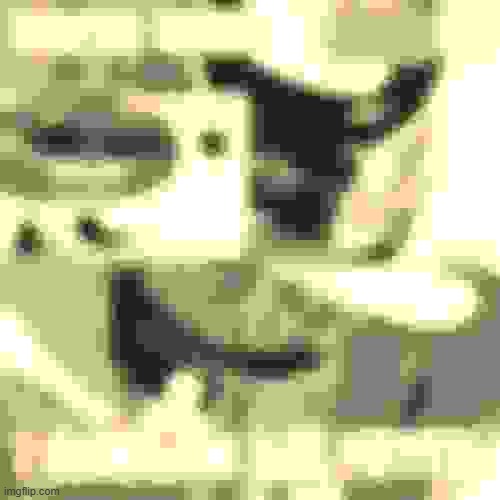 Deep fried that one image a bit more because I can xd.t | made w/ Imgflip meme maker