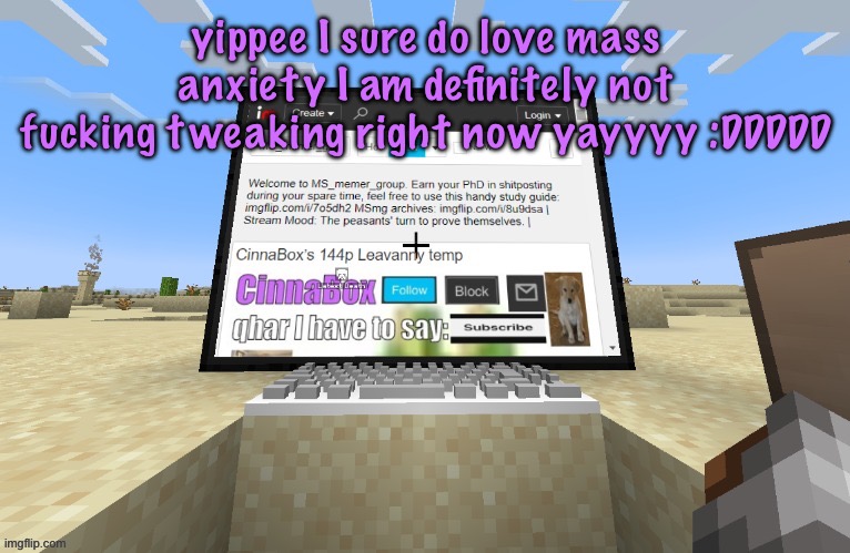 CinnaBox in minecraft | yippee I sure do love mass anxiety I am definitely not fucking tweaking right now yayyyy :DDDDD | image tagged in cinnabox in minecraft,cinnabox announcement | made w/ Imgflip meme maker
