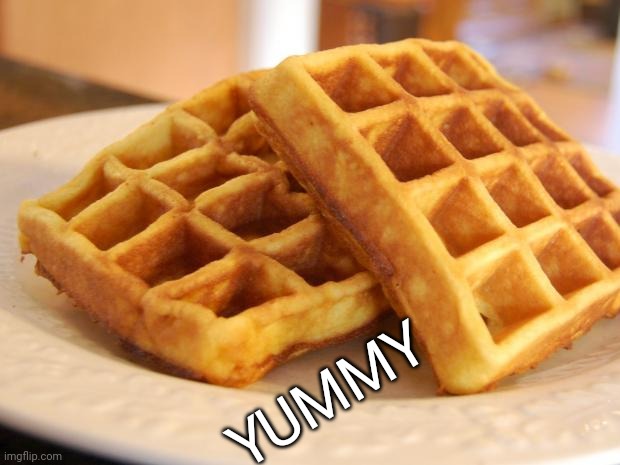 YUMMY | image tagged in essay waffle | made w/ Imgflip meme maker