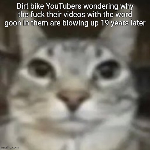 car | Dirt bike YouTubers wondering why the fuck their videos with the word goon in them are blowing up 19 years later | image tagged in car | made w/ Imgflip meme maker