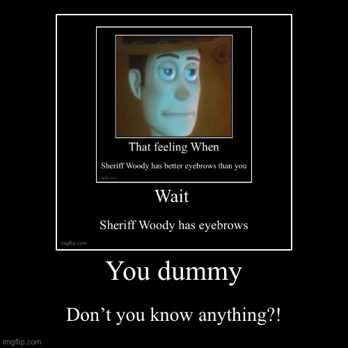 Sherriff Woody haha | You dummy | Don’t you know anything?! | image tagged in funny,demotivationals | made w/ Imgflip demotivational maker