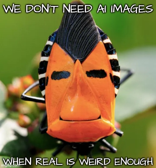 WE DON'T NEED AI IMAGES WHEN REAL IS WEIRD ENOUGH | made w/ Imgflip meme maker