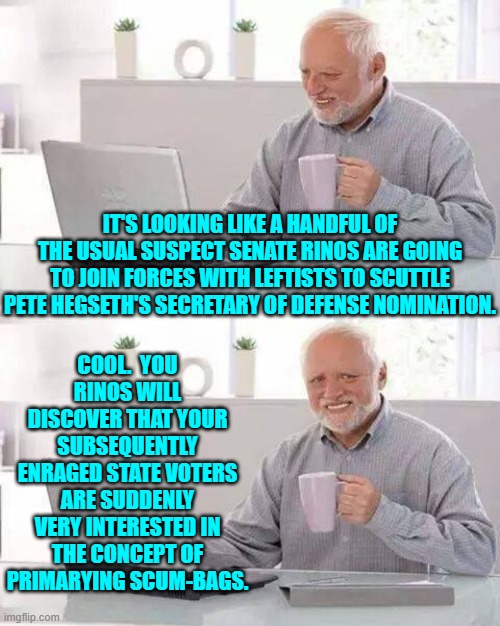 Yes, the political process will be destroying some of you chronic RINOs at last. | COOL.  YOU RINOS WILL DISCOVER THAT YOUR SUBSEQUENTLY ENRAGED STATE VOTERS ARE SUDDENLY VERY INTERESTED IN THE CONCEPT OF PRIMARYING SCUM-BAGS. IT'S LOOKING LIKE A HANDFUL OF THE USUAL SUSPECT SENATE RINOS ARE GOING TO JOIN FORCES WITH LEFTISTS TO SCUTTLE PETE HEGSETH'S SECRETARY OF DEFENSE NOMINATION. | image tagged in hide the pain harold | made w/ Imgflip meme maker