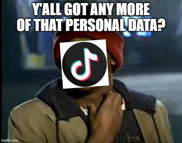 If TikTok could talk: | Y'ALL GOT ANY MORE OF THAT PERSONAL DATA? | image tagged in memes,y'all got any more of that | made w/ Imgflip meme maker