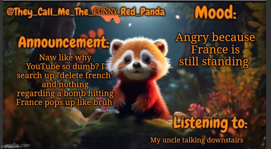 French is mid | Angry because France is still standing; Naw like why YouTube so dumb? I search up "delete french" and nothing regarding a bomb hitting France pops up like bruh; My uncle talking downstairs | image tagged in they_call_me_the_funny_red_panda newest announcement template | made w/ Imgflip meme maker