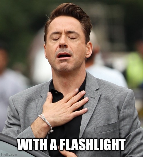 relieved rdj | WITH A FLASHLIGHT | image tagged in relieved rdj | made w/ Imgflip meme maker