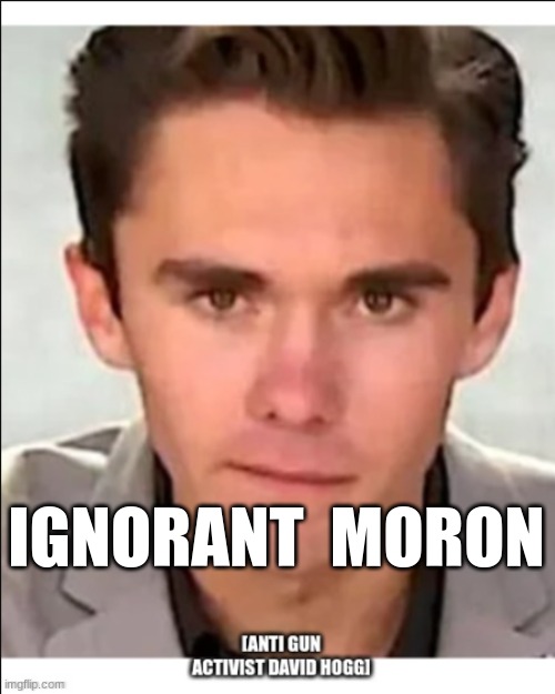 David Hogg | IGNORANT  MORON | image tagged in david hogg | made w/ Imgflip meme maker