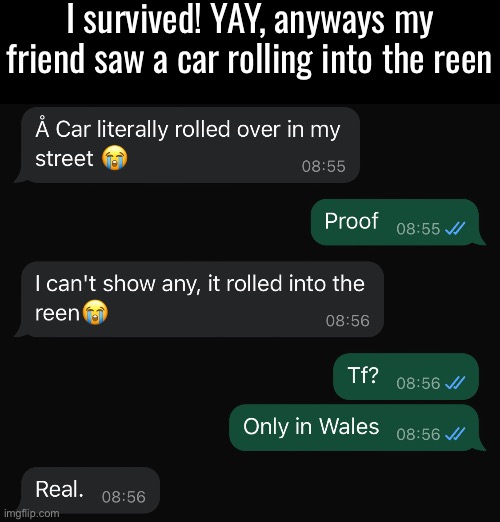 I survived! YAY, anyways my friend saw a car rolling into the reen | made w/ Imgflip meme maker