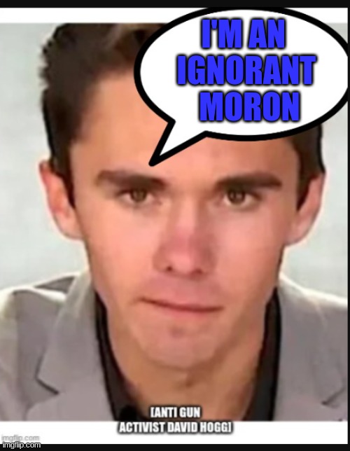 David Hogg | I'M AN 
IGNORANT
 MORON | image tagged in david hogg,anti 2nd amendment activist | made w/ Imgflip meme maker