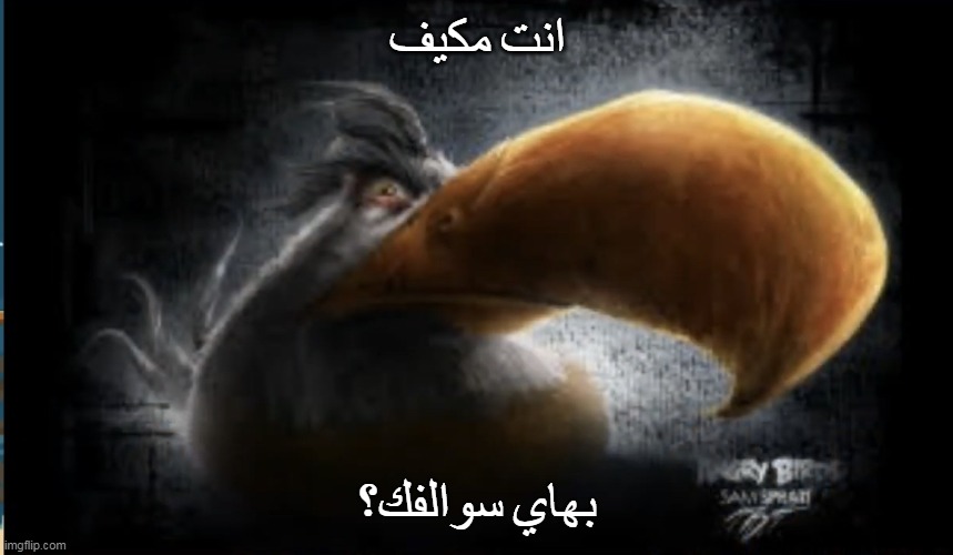 انت مكيف | انت مكيف; بهاي سوالفك؟ | image tagged in realistic mighty eagle | made w/ Imgflip meme maker