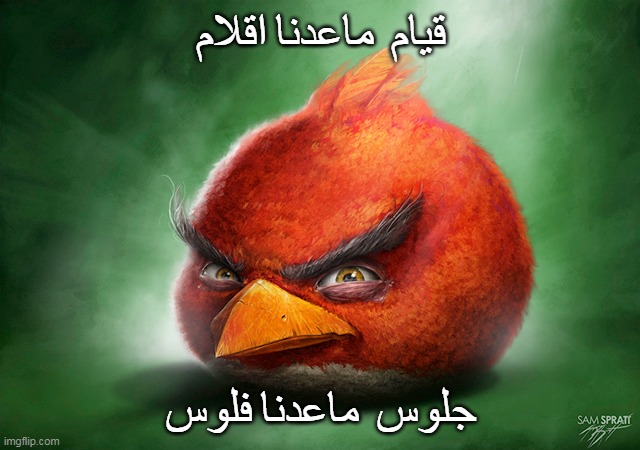 قيام ماعدنا اقلام | قيام  ماعدنا اقلام; جلوس  ماعدنا فلوس | image tagged in grrrr | made w/ Imgflip meme maker