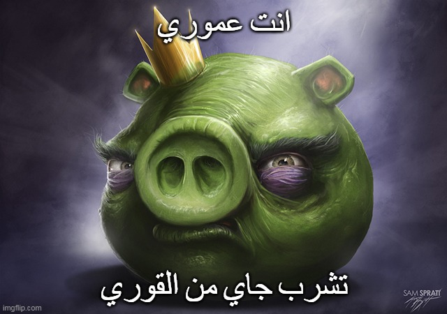 angry birds facebook | انت عموري; تشرب جاي من القوري | image tagged in angry birds realistic king pig | made w/ Imgflip meme maker