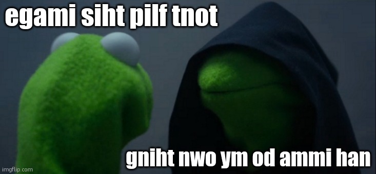 flip the image | egami siht pilf tnot; gniht nwo ym od ammi han | image tagged in memes,evil kermit | made w/ Imgflip meme maker