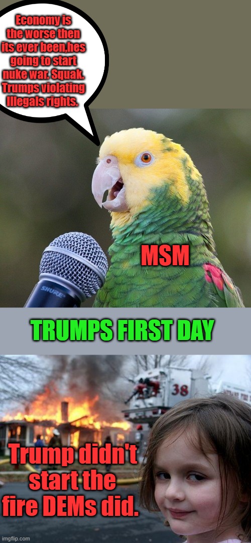 Economy is the worse then its ever been,hes going to start nuke war. Squak. Trumps violating Illegals rights. MSM; TRUMPS FIRST DAY; Trump didn't start the fire DEMs did. | image tagged in memes,disaster girl | made w/ Imgflip meme maker