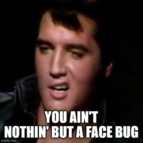 Elvis, thank you | YOU AIN'T NOTHIN' BUT A FACE BUG | image tagged in elvis thank you | made w/ Imgflip meme maker