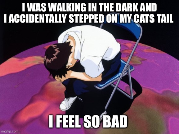 shinji crying | I WAS WALKING IN THE DARK AND I ACCIDENTALLY STEPPED ON MY CATS TAIL; I FEEL SO BAD | image tagged in shinji crying | made w/ Imgflip meme maker