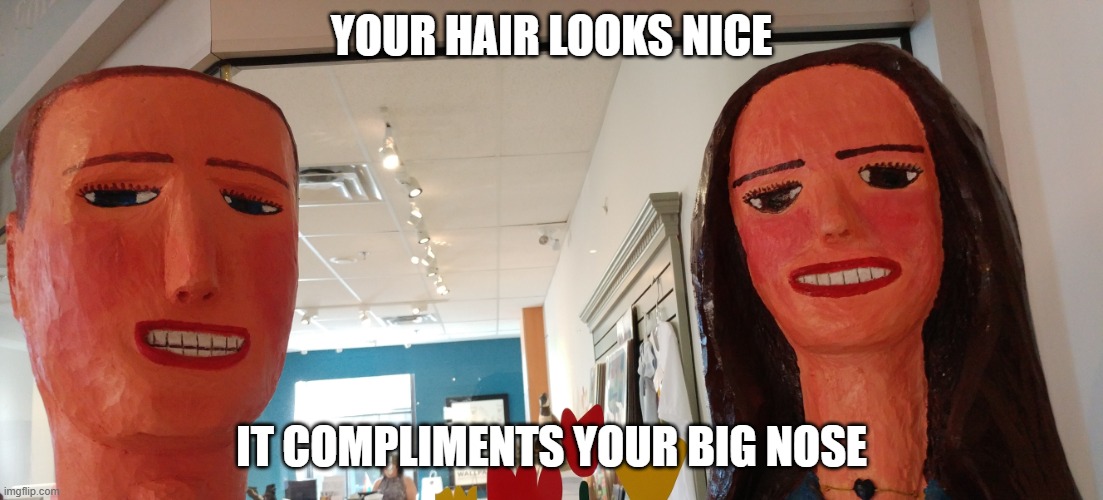 Always with the backhanded compliments from these two... | YOUR HAIR LOOKS NICE; IT COMPLIMENTS YOUR BIG NOSE | image tagged in your snobbish fake friends | made w/ Imgflip meme maker