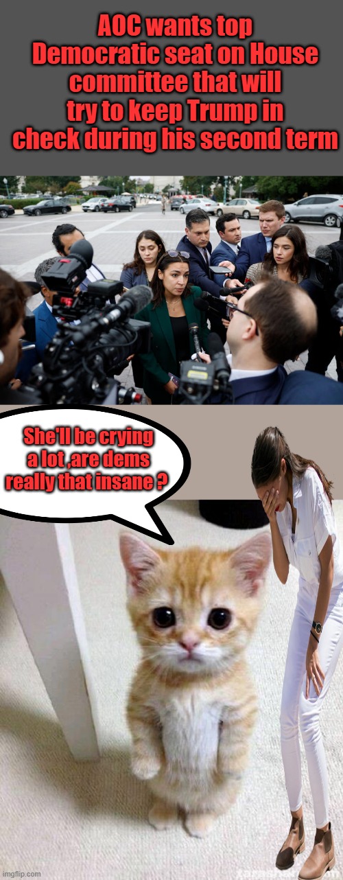 Is she black now , like Kammie ? She can claim to be MSM will sell it. | AOC wants top Democratic seat on House committee that will try to keep Trump in check during his second term; She'll be crying a lot ,are dems really that insane ? | image tagged in memes,cute cat | made w/ Imgflip meme maker