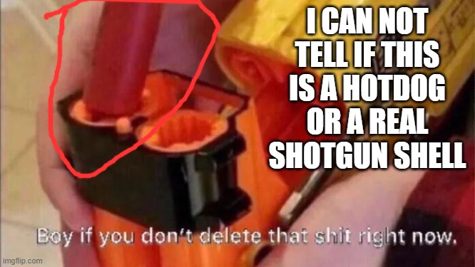 boy if you don't delete that shit right now | I CAN NOT TELL IF THIS IS A HOTDOG OR A REAL SHOTGUN SHELL | image tagged in boy if you don't delete that shit right now | made w/ Imgflip meme maker