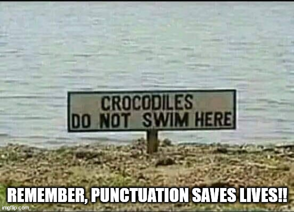 Punctuation | REMEMBER, PUNCTUATION SAVES LIVES!! | image tagged in durlearl | made w/ Imgflip meme maker