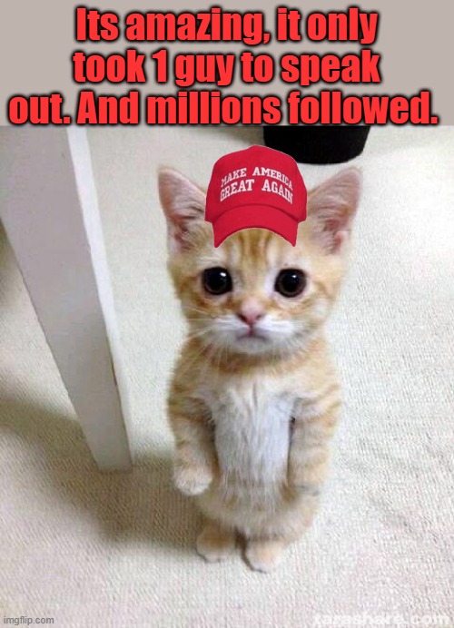 THE NEW MEDIA CAT | Its amazing, it only took 1 guy to speak out. And millions followed. | image tagged in memes,cute cat | made w/ Imgflip meme maker