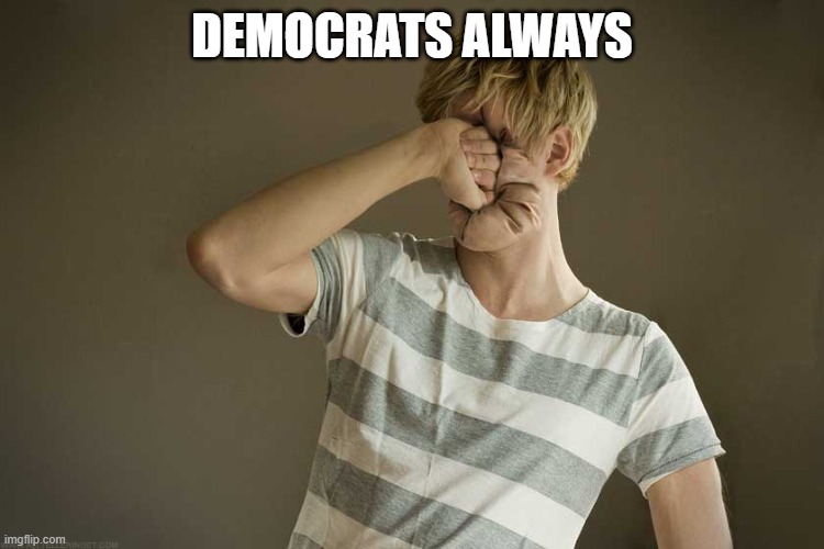 Punching Yourself In The Face | DEMOCRATS ALWAYS | image tagged in punching yourself in the face | made w/ Imgflip meme maker