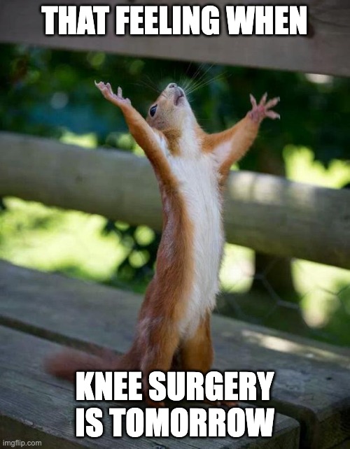 Happy Squirrel | THAT FEELING WHEN KNEE SURGERY IS TOMORROW | image tagged in happy squirrel | made w/ Imgflip meme maker