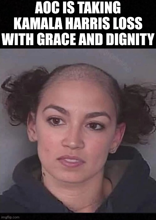 AOC is doing as exp3cted | AOC IS TAKING KAMALA HARRIS LOSS WITH GRACE AND DIGNITY | image tagged in aoc,crazy aoc,kamala harris,donald trump | made w/ Imgflip meme maker