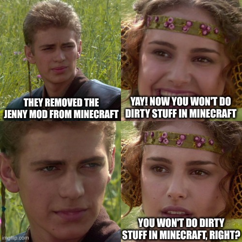 Boys After The Jenny Mod Was Banned: | THEY REMOVED THE JENNY MOD FROM MINECRAFT; YAY! NOW YOU WON'T DO DIRTY STUFF IN MINECRAFT; YOU WON'T DO DIRTY STUFF IN MINECRAFT, RIGHT? | image tagged in anakin padme 4 panel | made w/ Imgflip meme maker