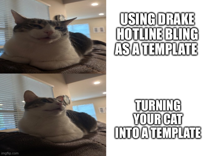 Yippee | USING DRAKE HOTLINE BLING AS A TEMPLATE; TURNING YOUR CAT INTO A TEMPLATE | image tagged in cat angry vs happy,cats,angry cat,happy cat | made w/ Imgflip meme maker