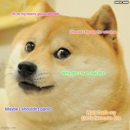 Doge | @JUSTIN_CHIDO; Oh no my mom's gonna kill me!! Should I fly out the window. Why did I burn her Bra. Maybe I shouldn't panic. Wait that's my Dad's favourite Bra | image tagged in memes,doge | made w/ Imgflip meme maker