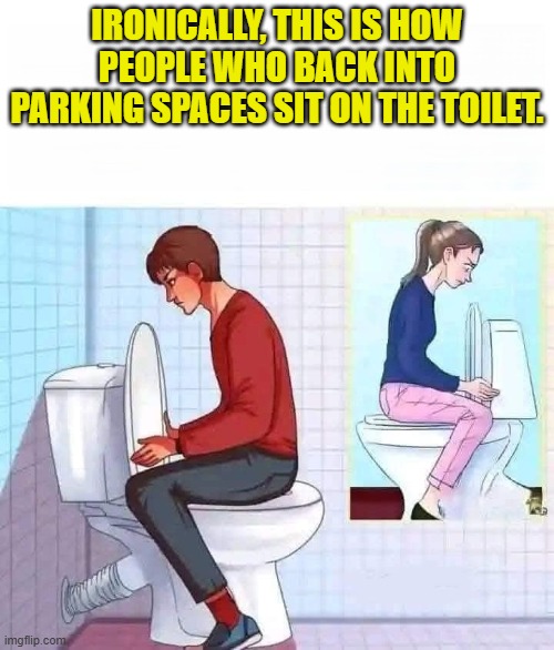 backtoilet | IRONICALLY, THIS IS HOW PEOPLE WHO BACK INTO PARKING SPACES SIT ON THE TOILET. | image tagged in toilet,back into parking spaces | made w/ Imgflip meme maker