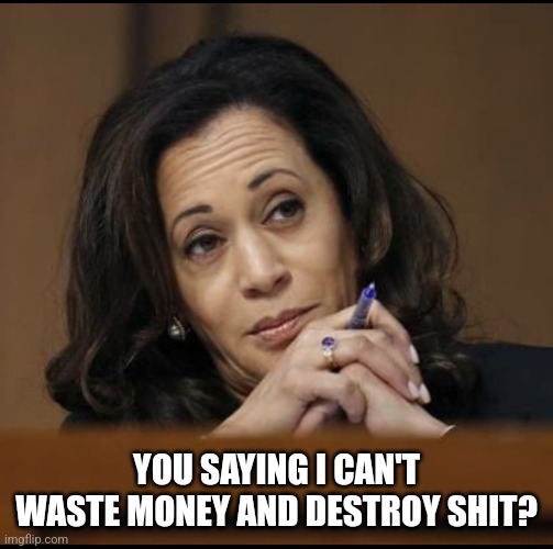 Kamala Harris  | YOU SAYING I CAN'T WASTE MONEY AND DESTROY SHIT? | image tagged in kamala harris | made w/ Imgflip meme maker