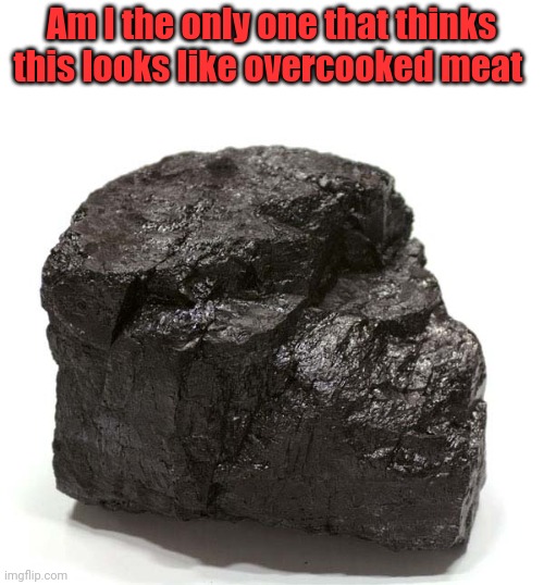 But it's coal | Am I the only one that thinks this looks like overcooked meat | image tagged in coal | made w/ Imgflip meme maker